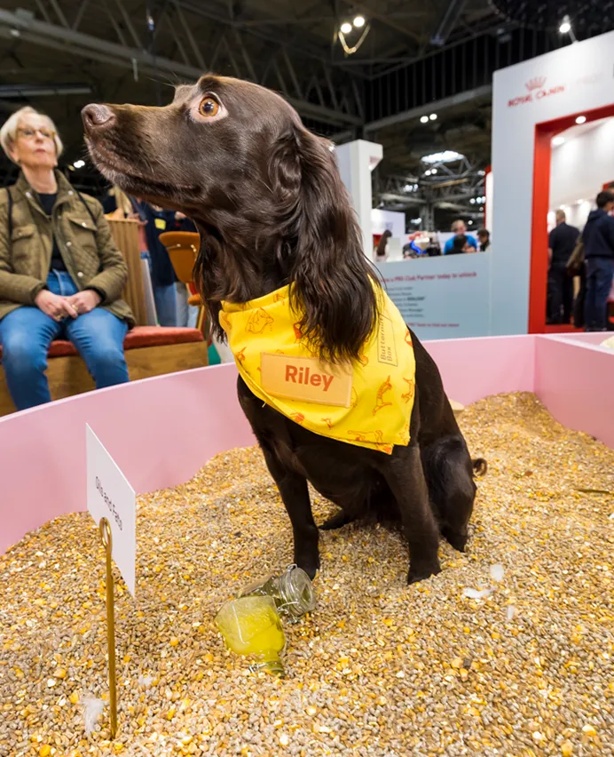 brand logo promotional items