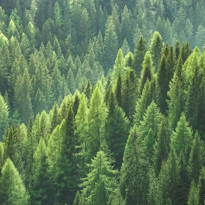 eco-friendley exhibition displays