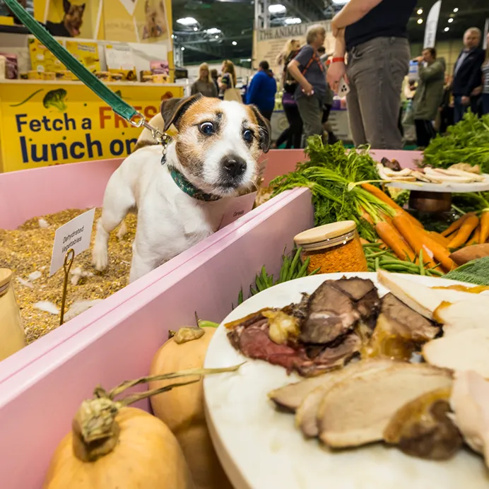 Butternut Box engagement