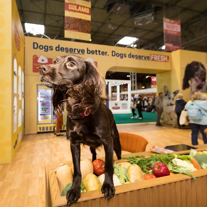 expert stand designers