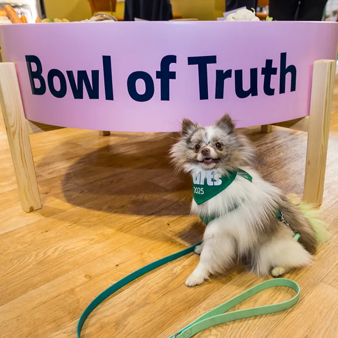 Crufts exhibition stand service