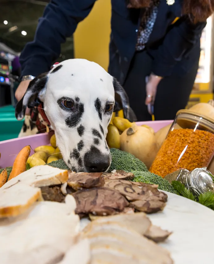 memorable experiences